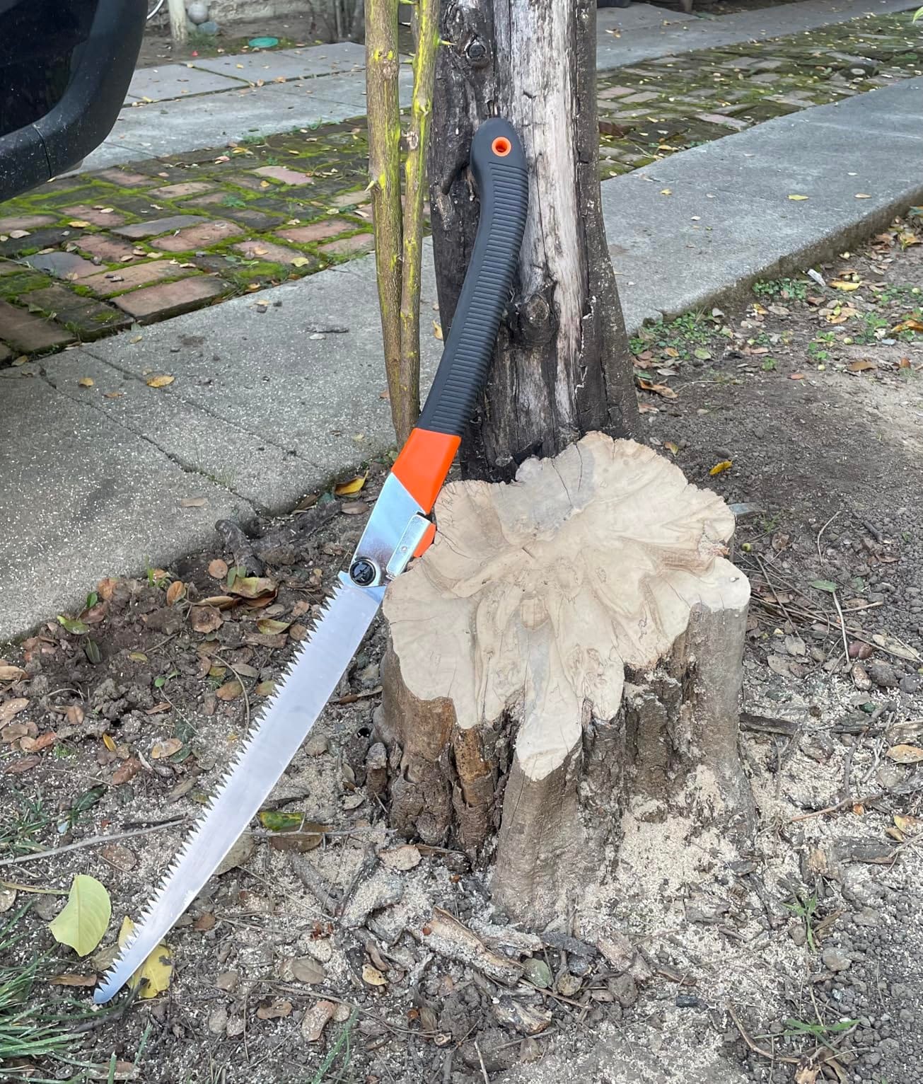 REXBETI 11-Inch Folding Saw, Heavy Duty Hand Saw, Wood & Camping, SK5 Steel customer photo 2