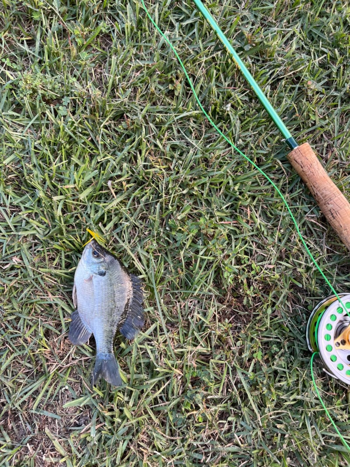 Sougayilang Fly Fishing Rod Reel Combos with Lightweight Portable Fly Rod and CNC-machined Aluminum Alloy Fly Reel,Fly Fishing Complete Starter Package customer photo 2