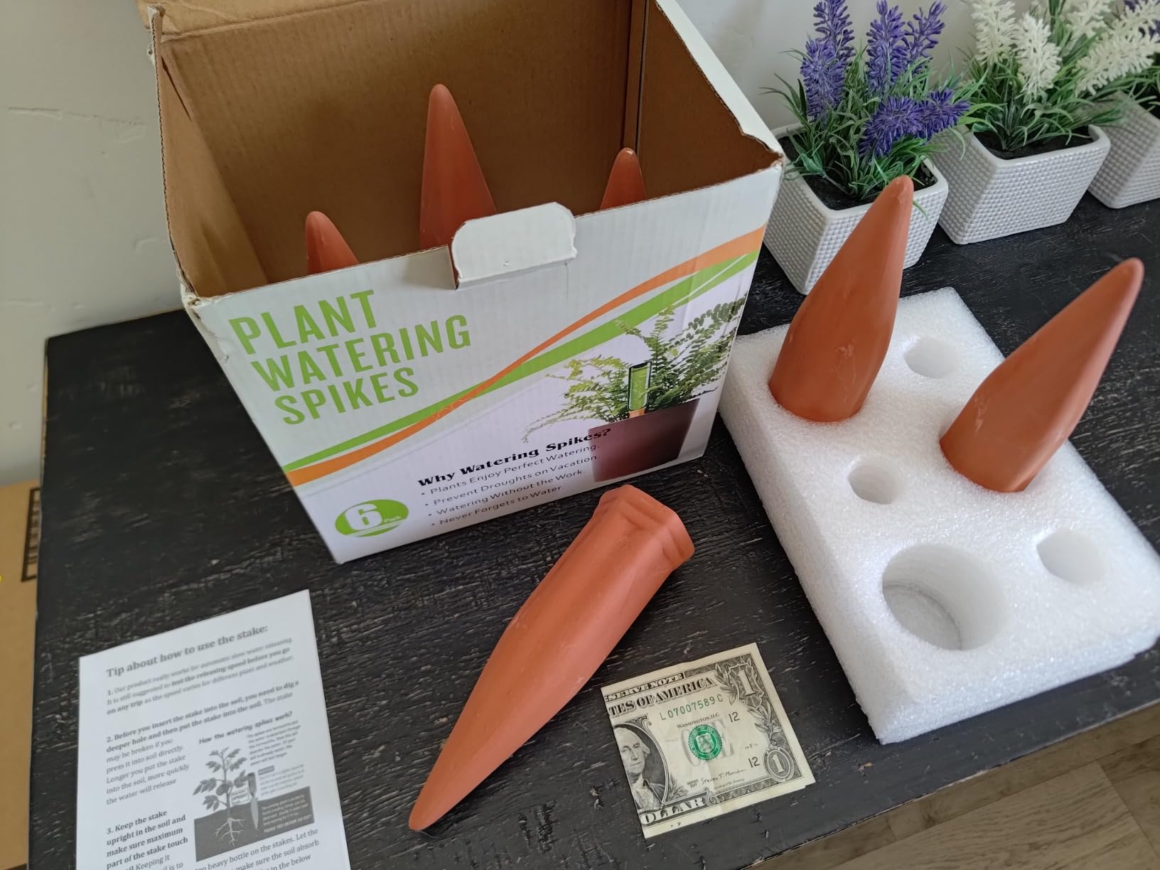 Plant Watering Devices 6 Pack Terracotta Vacation Plant Waterer Wine Bottle Watering Stakes Slow Release Plant Watering Spikes Self Watering Devices for Indoor Outdoor Plants customer photo 1