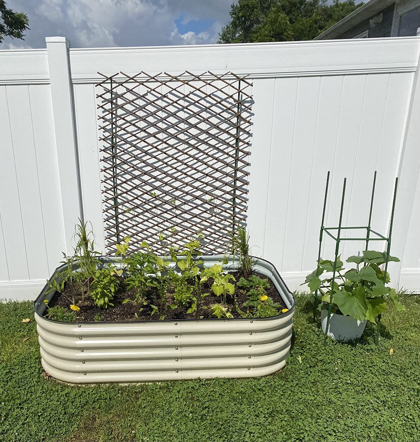 Expandable Garden Trellis Plant Support Willow Lattice Fence Panel for Climbing Plants Vine Ivy Rose Cucumbers Clematis customer photo 2