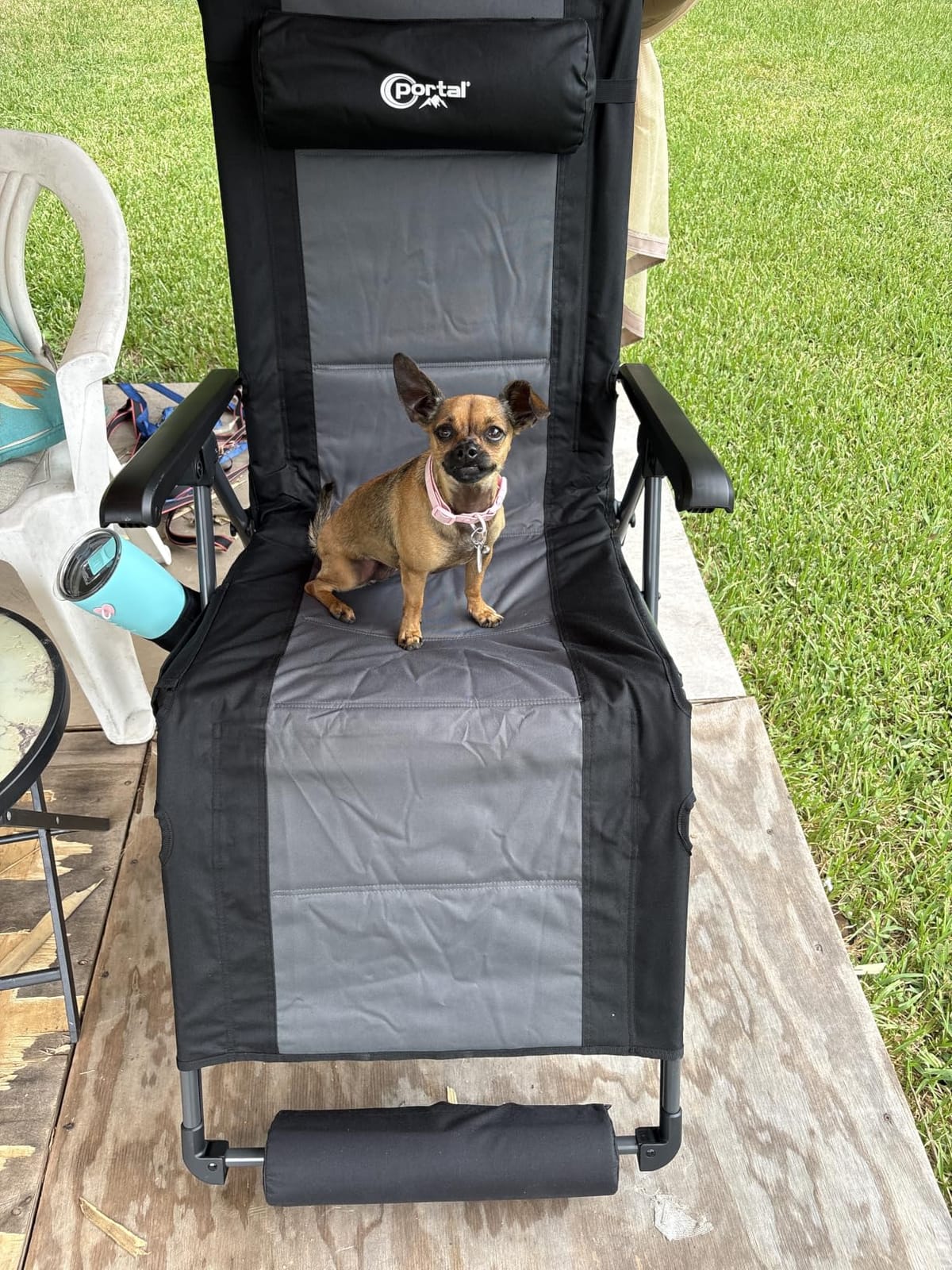 Portal Oversized Mesh Back Zero Gravity Reclining Patio Chairs, XL Padded Seat Folding Patio Lounge Chair with Adjustable Pillows and Cup Holder for Poolside Backyard/Lawn, Support 350lbs customer photo 1