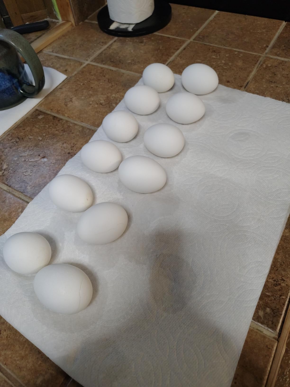 Dash Deluxe Egg Cooker, 12 Hard Boiled Eggs, White customer photo 1