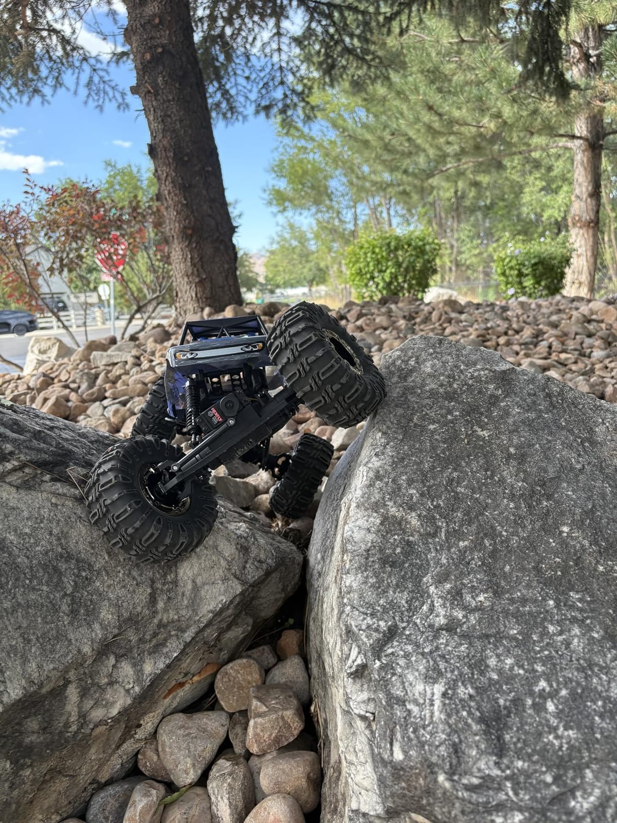 Redcat Racing Danchee Ridgerock 1/10 Scale 4WD Electric RC Rock Crawler - RC Truck RTR with 2.4GHz Radio, Dual Motors, 4-Wheel Steering, USB Charger with RC Crawler Li-ion Battery customer photo 2
