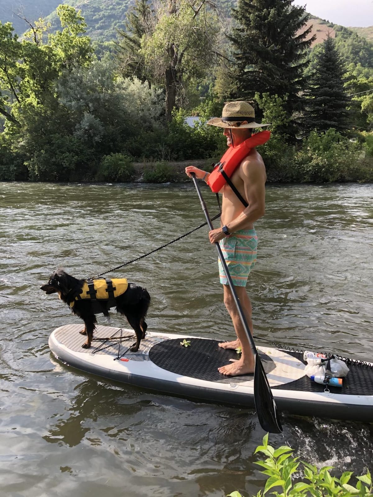 Abahub Carbon Fiber SUP Paddle 3-Piece,Adjustable 67-86