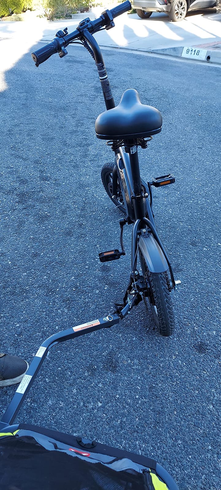 Allen Sports Deluxe Bike Trailer & Stroller customer photo 1