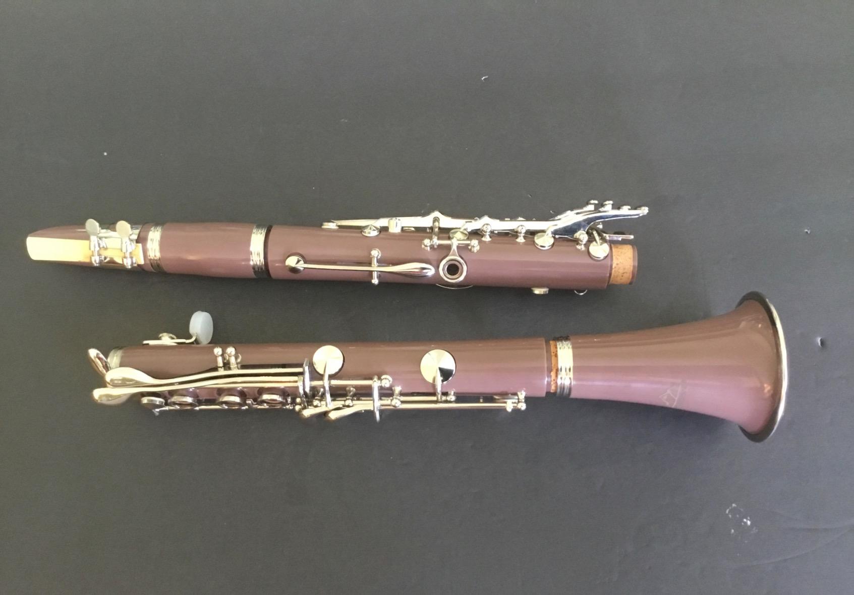 EASTROCK Bb Clarinet 17 Keys ABS Material Wide Range of Tones Particularly Beginner & Students-friendly with Using Tools and 2 Replaceable Barrels customer photo 1
