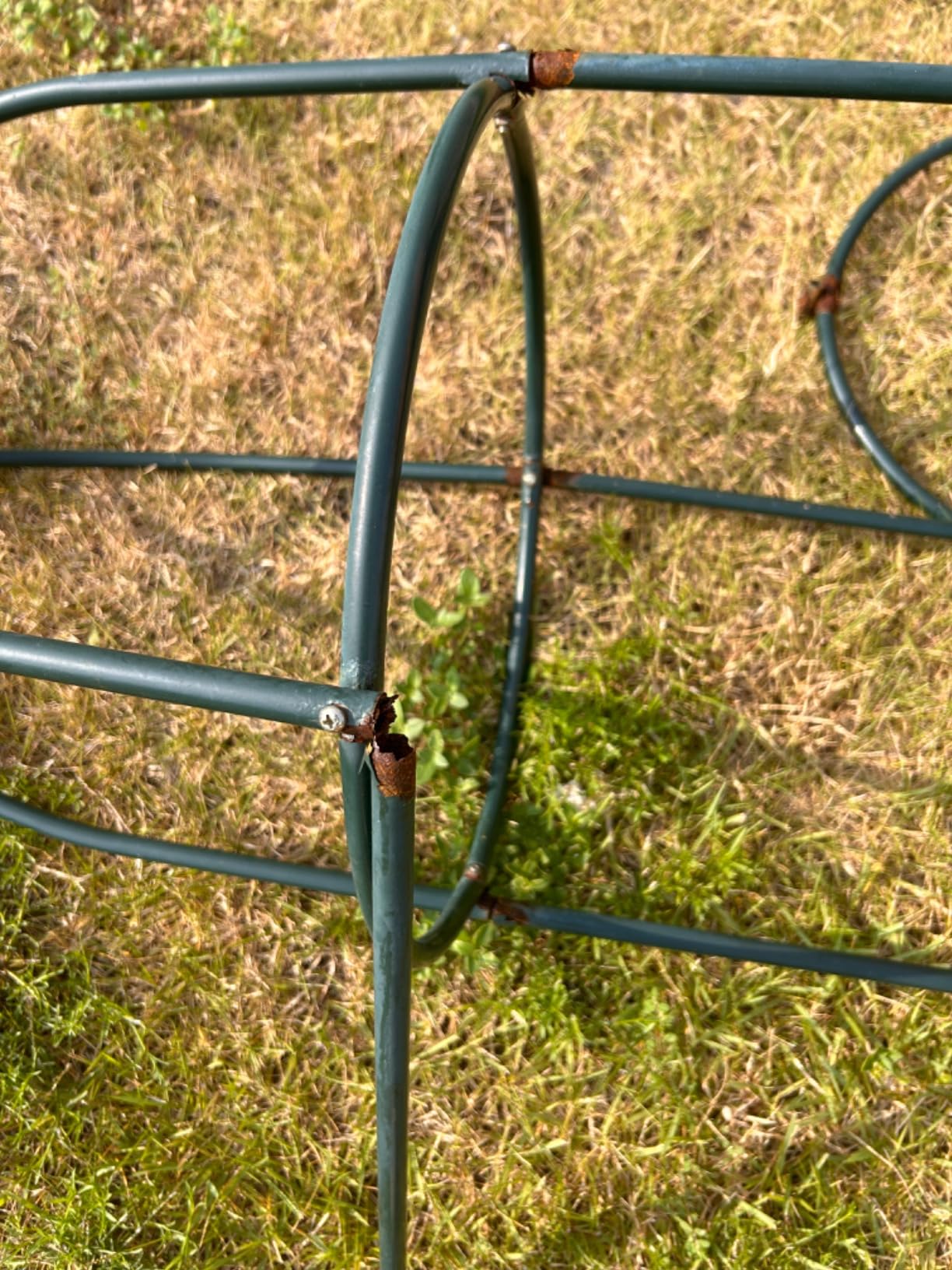 Metal Tower Obelisk Trellis 6.3 Ft Plant Support for Climbing Vines Flowers customer photo 2