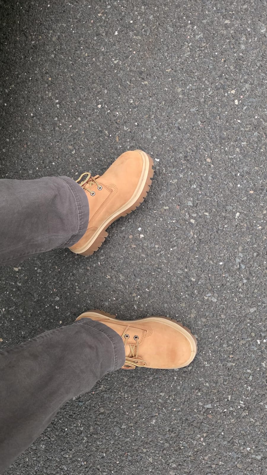 Timberland PRO Mens Direct Attach MaxTRAX Steel Toe WP SRO customer photo 1