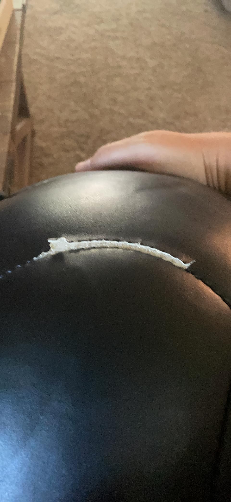 Champion Sports Rhino ProMax Elite Slam Ball customer photo 1