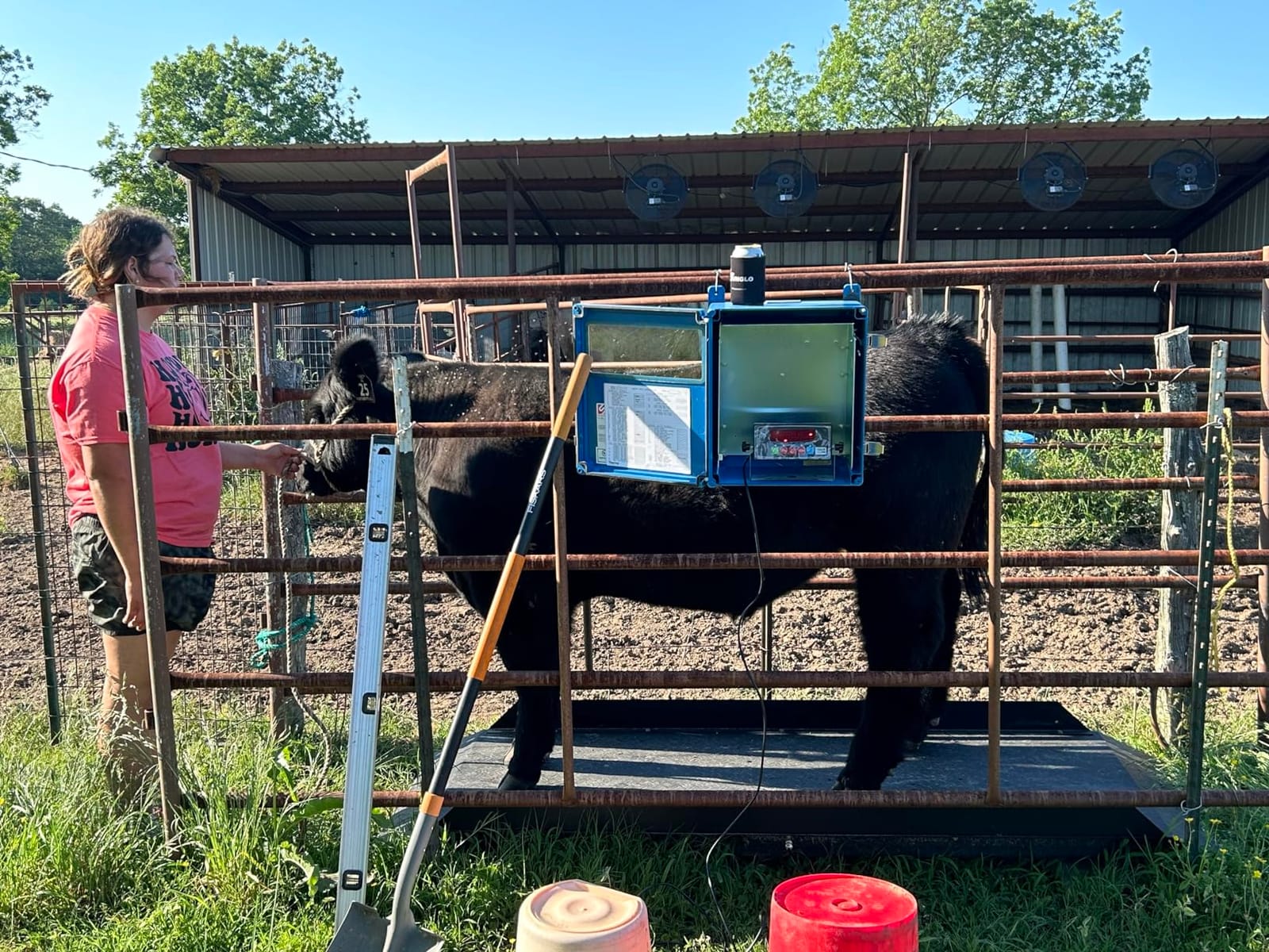 Large Farm Animal Scale/Digital Livestock Weighing Equipment, Capacity 4000 x 1 lb for Cattle, Horse, Goat, Cow, Alpaca, etc. (84x30) customer photo 2