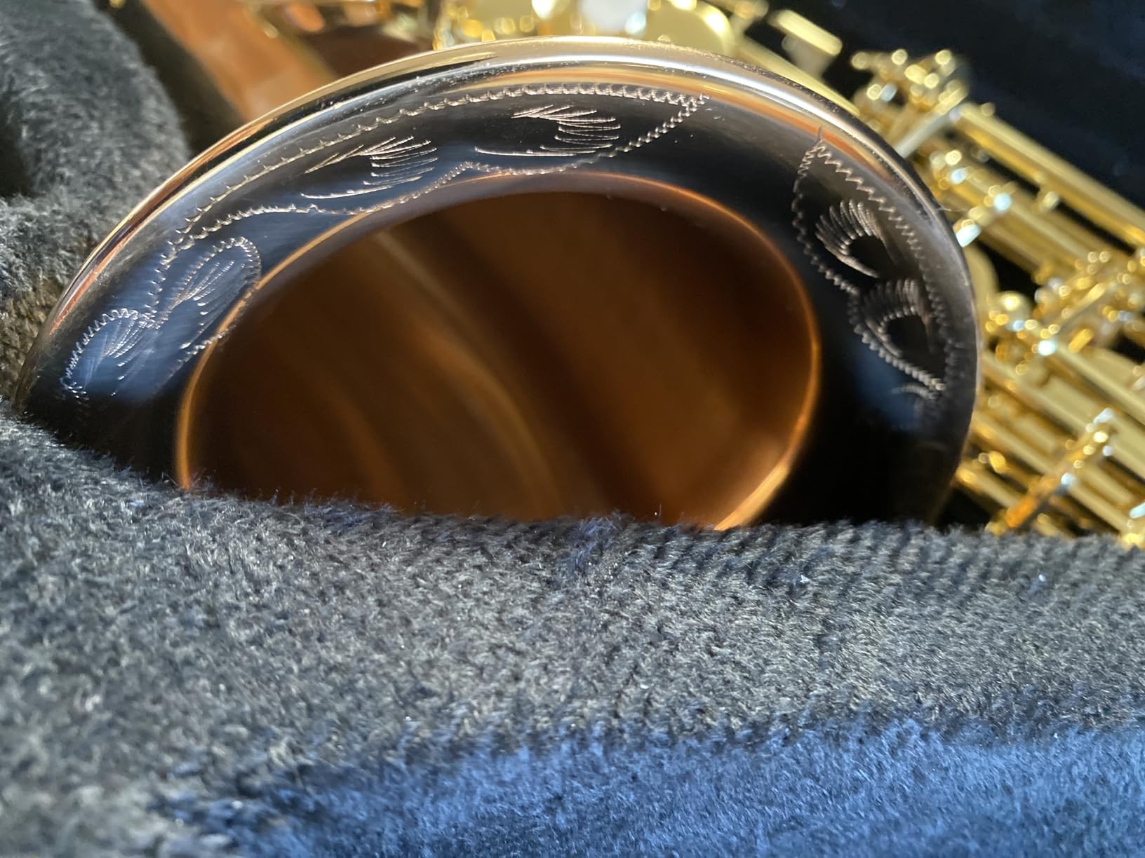 EASTROCK E Flat Alto Saxophone Blue/Golden Sax for Beginners and Students | Alto Sax Kit-Carrying Case, Mouthpiece, Reeds, Cushion Pads, Cleaning Kit, Gloves, Neck Strap for Practice & Performance customer photo 2
