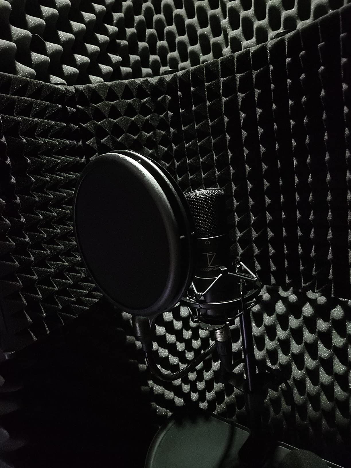 TZ Stellar X2 Large Diaphragm Cardioid Condenser XLR Microphone customer photo 1