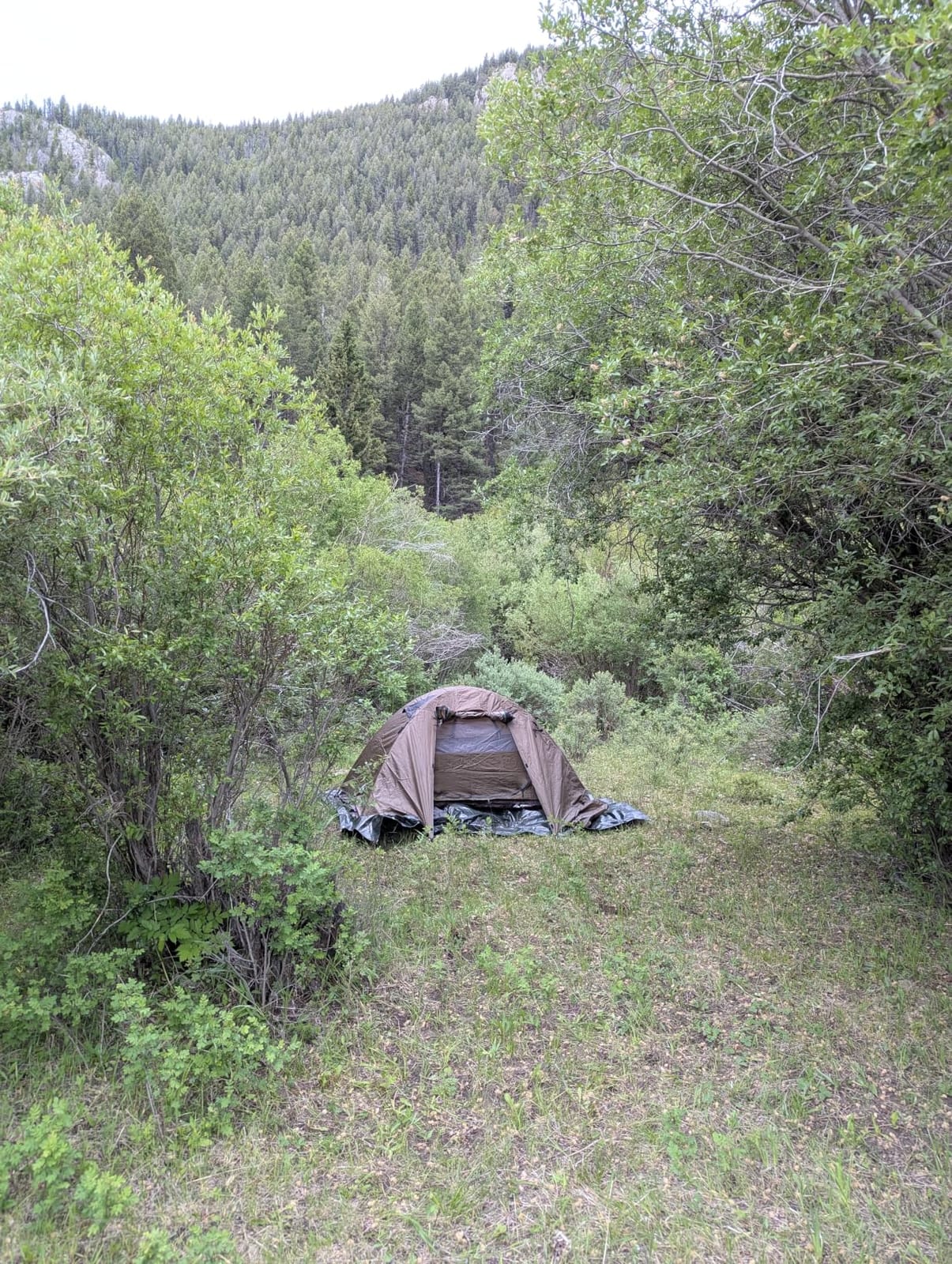 Forceatt Camping Tent 2/3/4 Person, Professional Waterproof & Windproof Lightweight Backpacking Tent Suitable for Outdoor,Hiking,Camping, Mountaineering and Travel customer photo 1