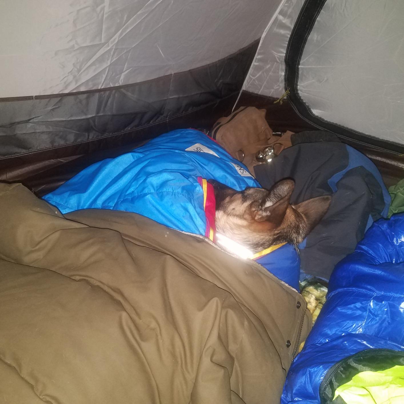 ALPS Mountaineering Tasmanian 3-Person Tent customer photo 2