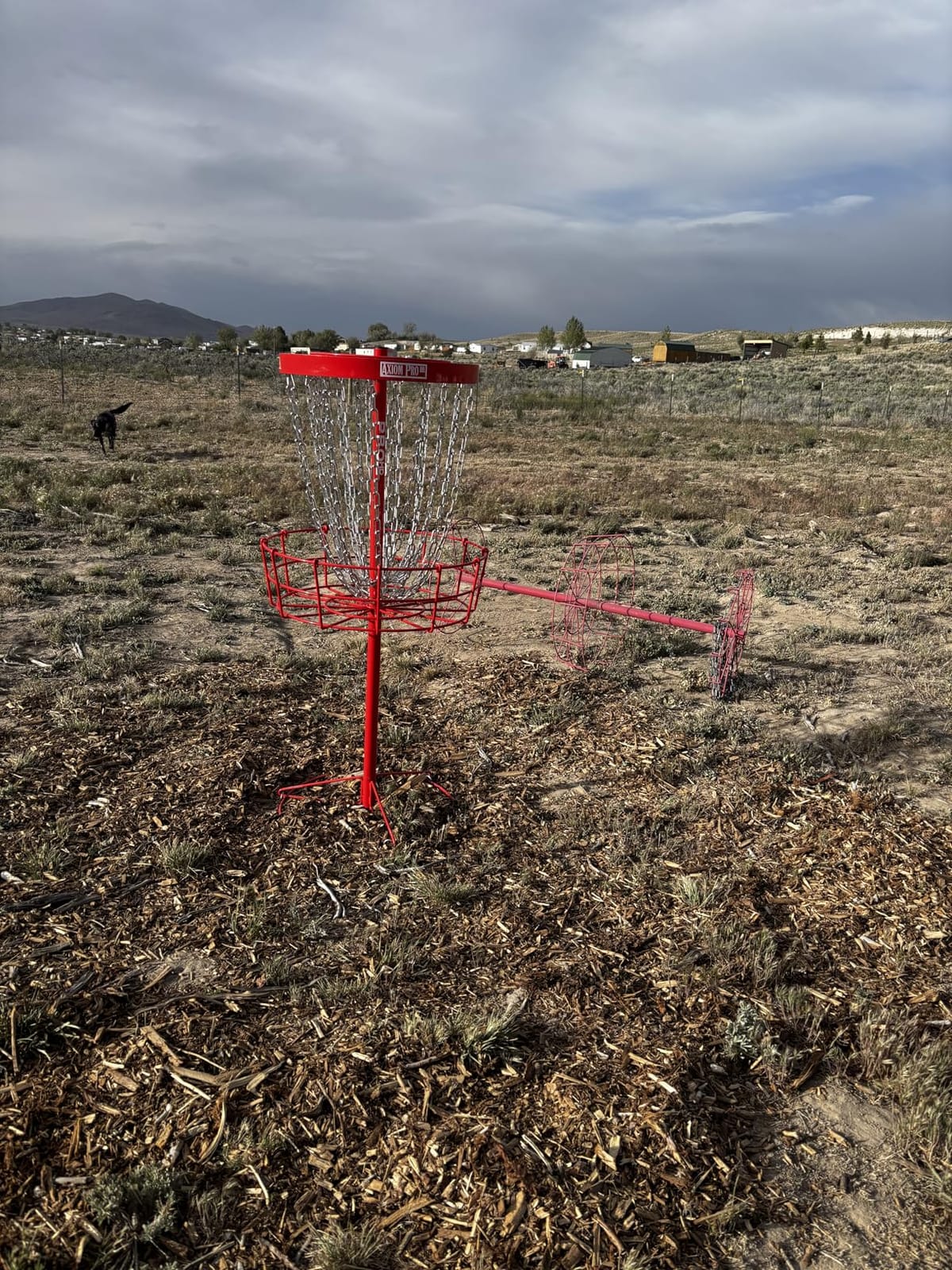 Axiom Discs Pro HD Disc Golf Basket customer photo 1