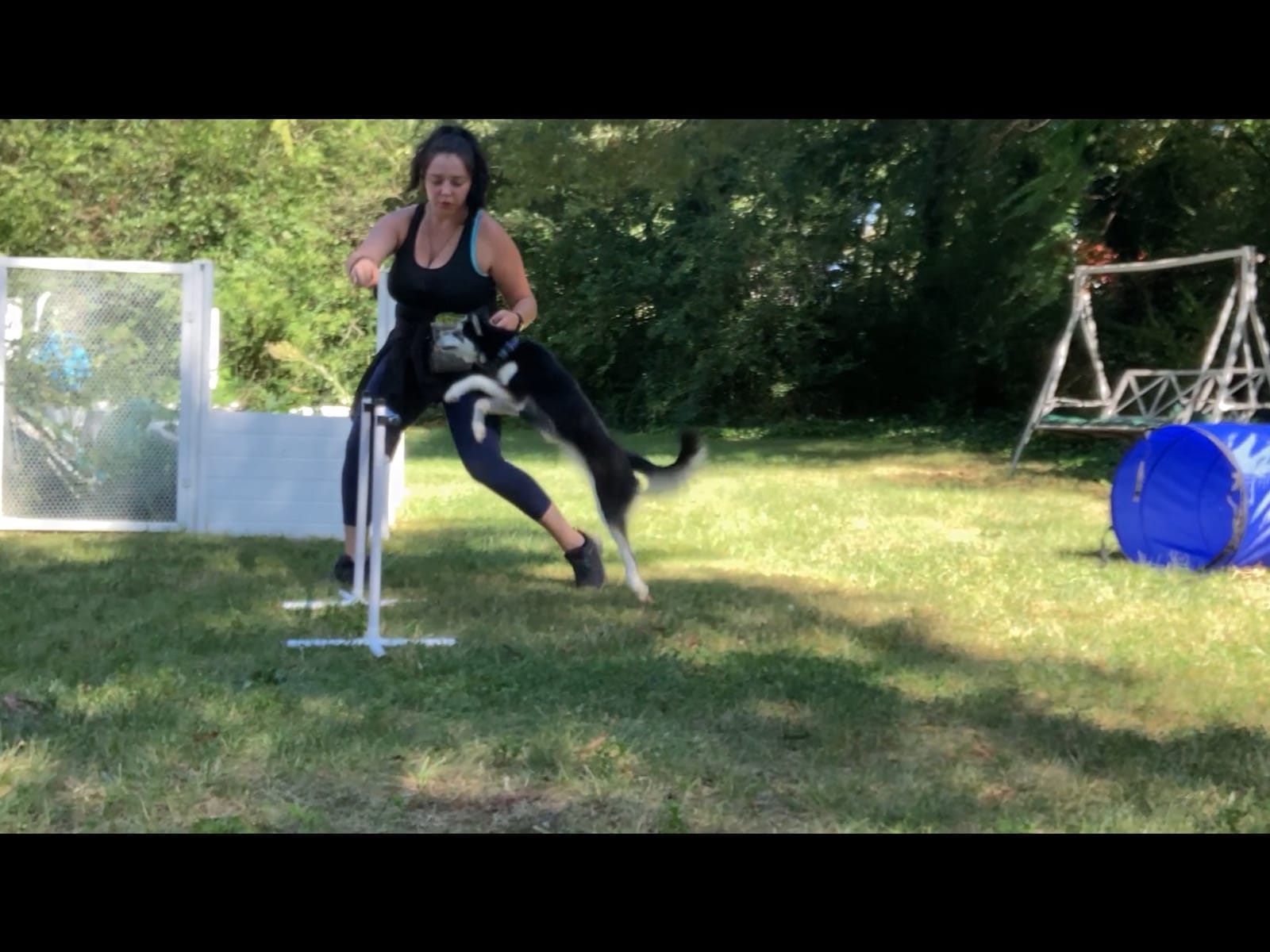 Better Sporting Dogs Agility Course Backyard Set - 7pc Indoor and Outdoor customer photo 1