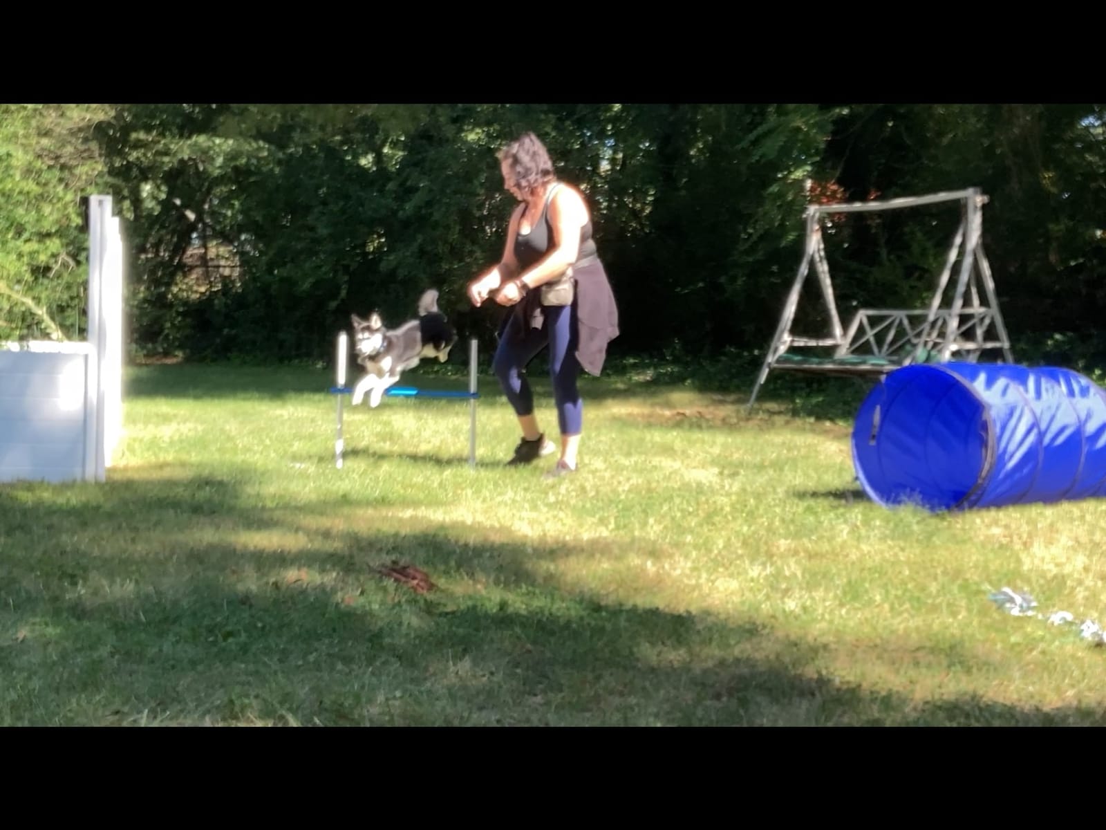 Better Sporting Dogs Agility Course Backyard Set - 7pc Indoor and Outdoor customer photo 2