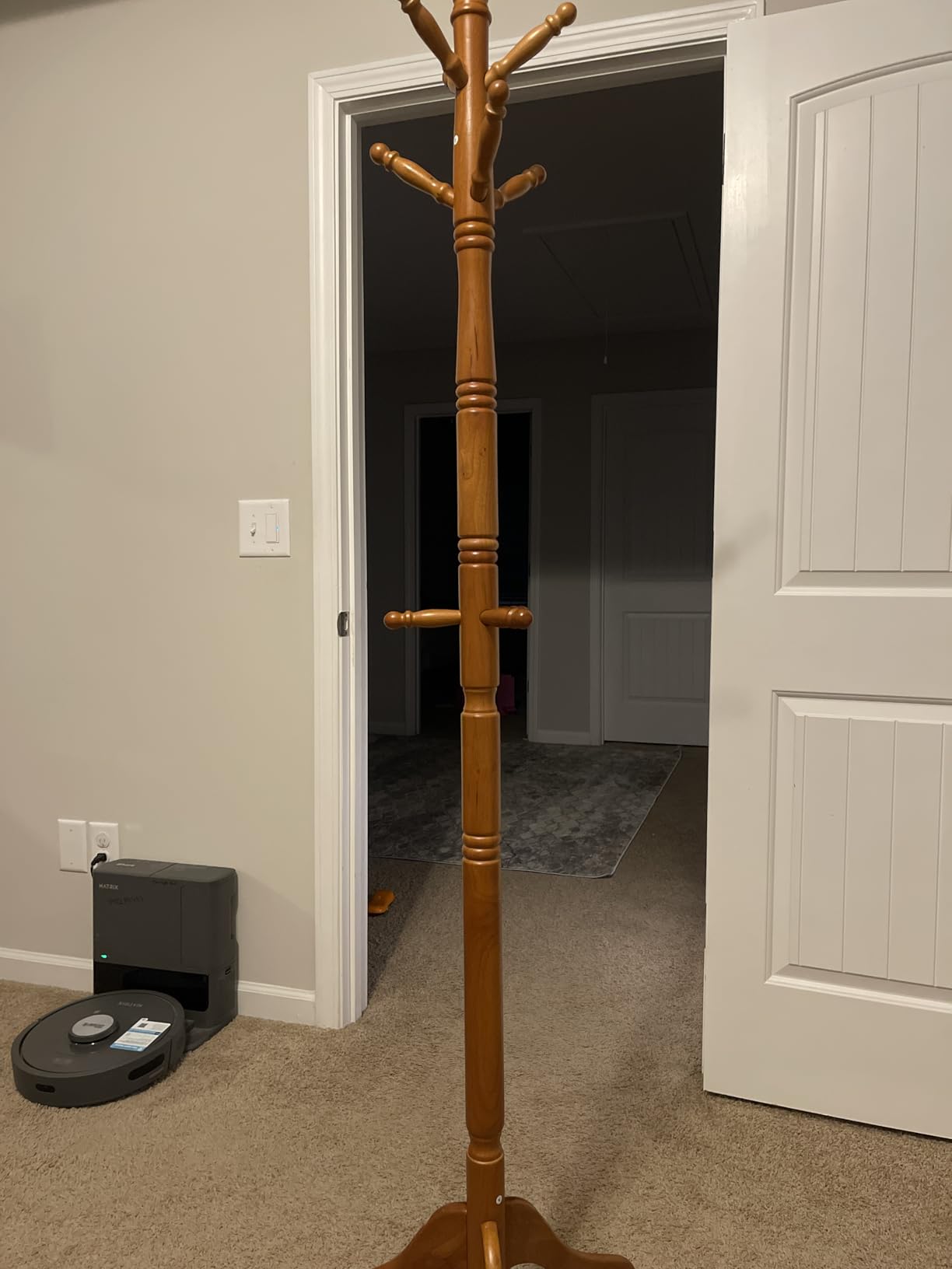 VASAGLE Freestanding Coat Rack, Rubber Wood Coat Tree with 10 Hooks customer photo 1