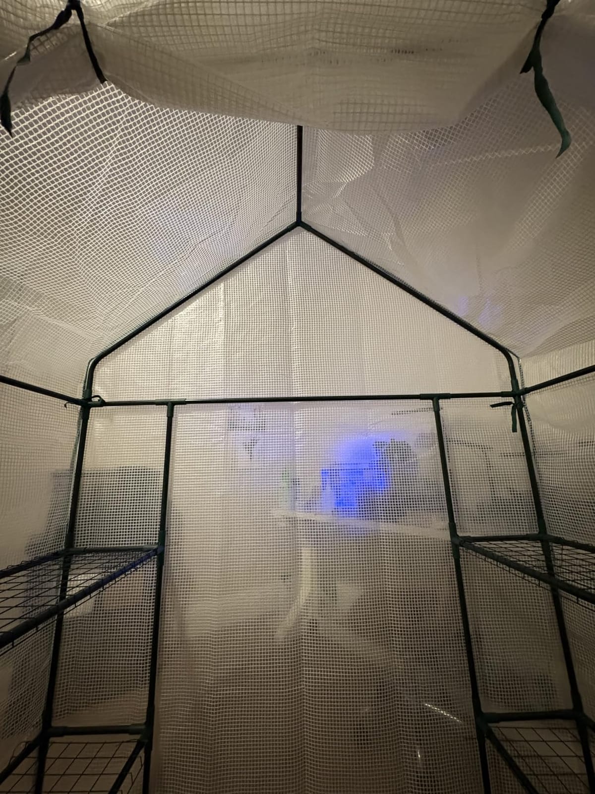 56x30x76 Portable Walk-in Greenhouse for Outdoors, Plant House with Shelves customer photo 1