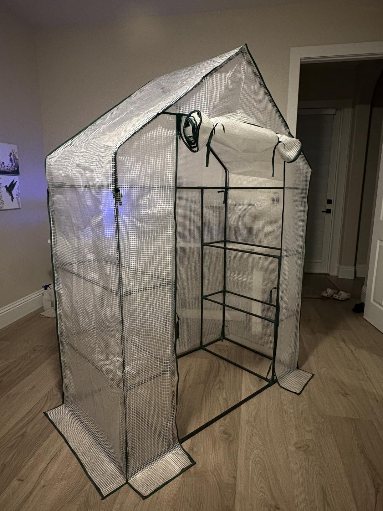 56x30x76 Portable Walk-in Greenhouse for Outdoors, Plant House with Shelves customer photo 2