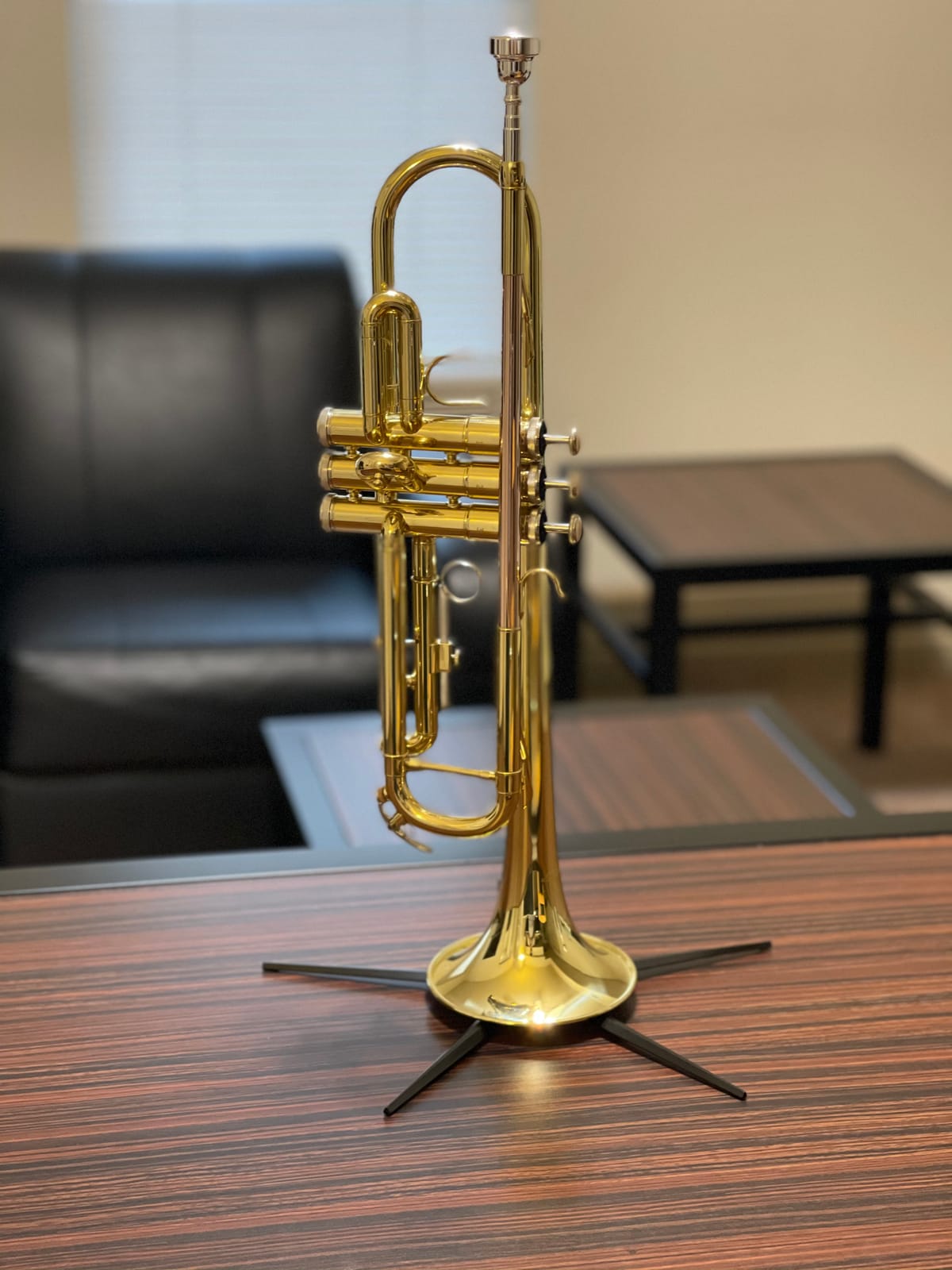 Libretto Gold Lacquer Bb Trumpet Set, Rose Brass Leadpipe | Standard for Beginner & Intermediate Students, Stainless Valve, 7C Mouthpiece, Durable Case, Portable Stand, Care Kit customer photo 2