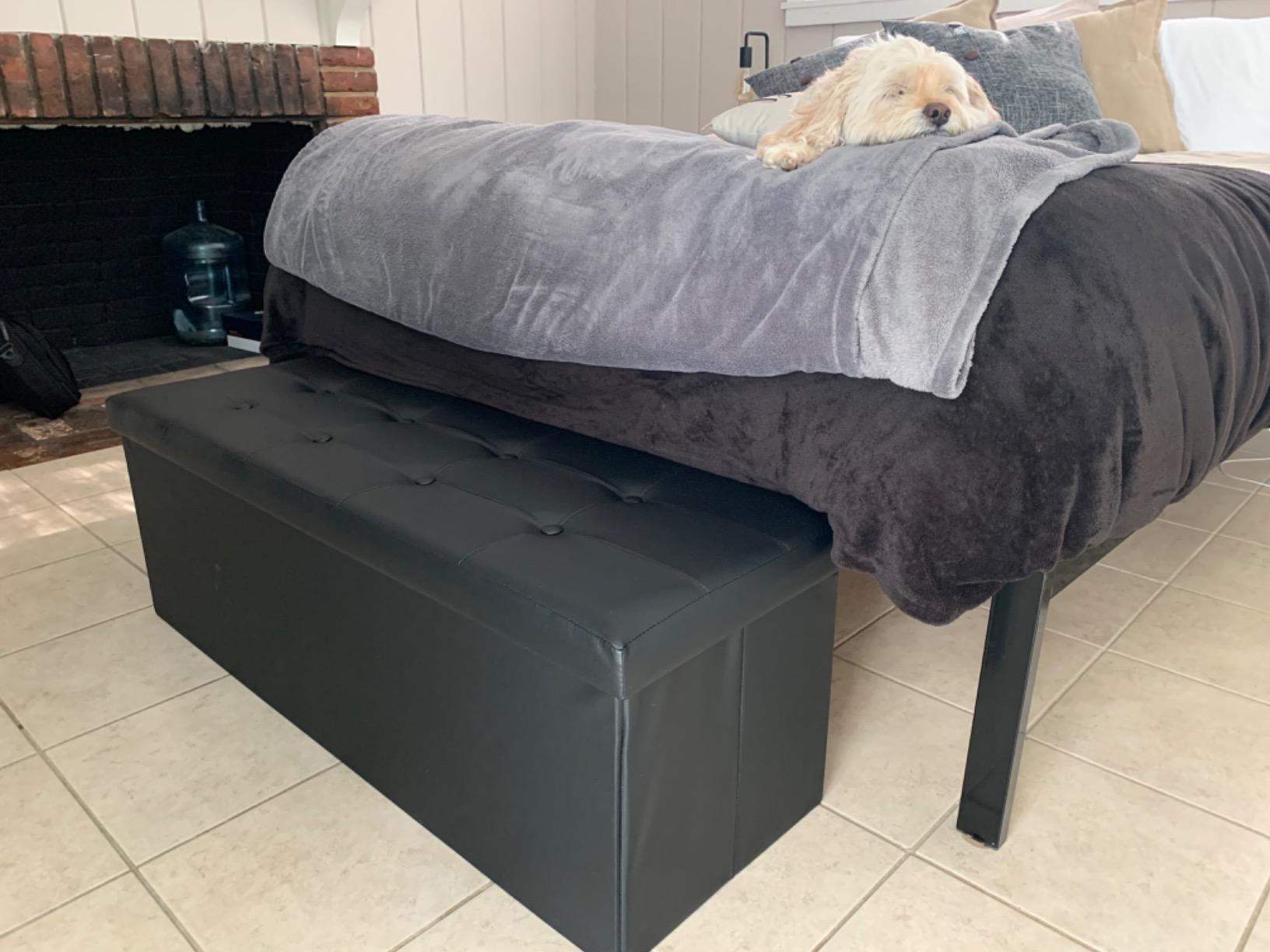 Camabel 43 inch Folding Ottoman Storage Bench Cube Hold up 700lbs Faux Leather 125L Storage Chest with Memory Foam Seat Footrest Padded Upholstered Stool for Bedroom Box Bed Coffee Table Brown customer photo 1