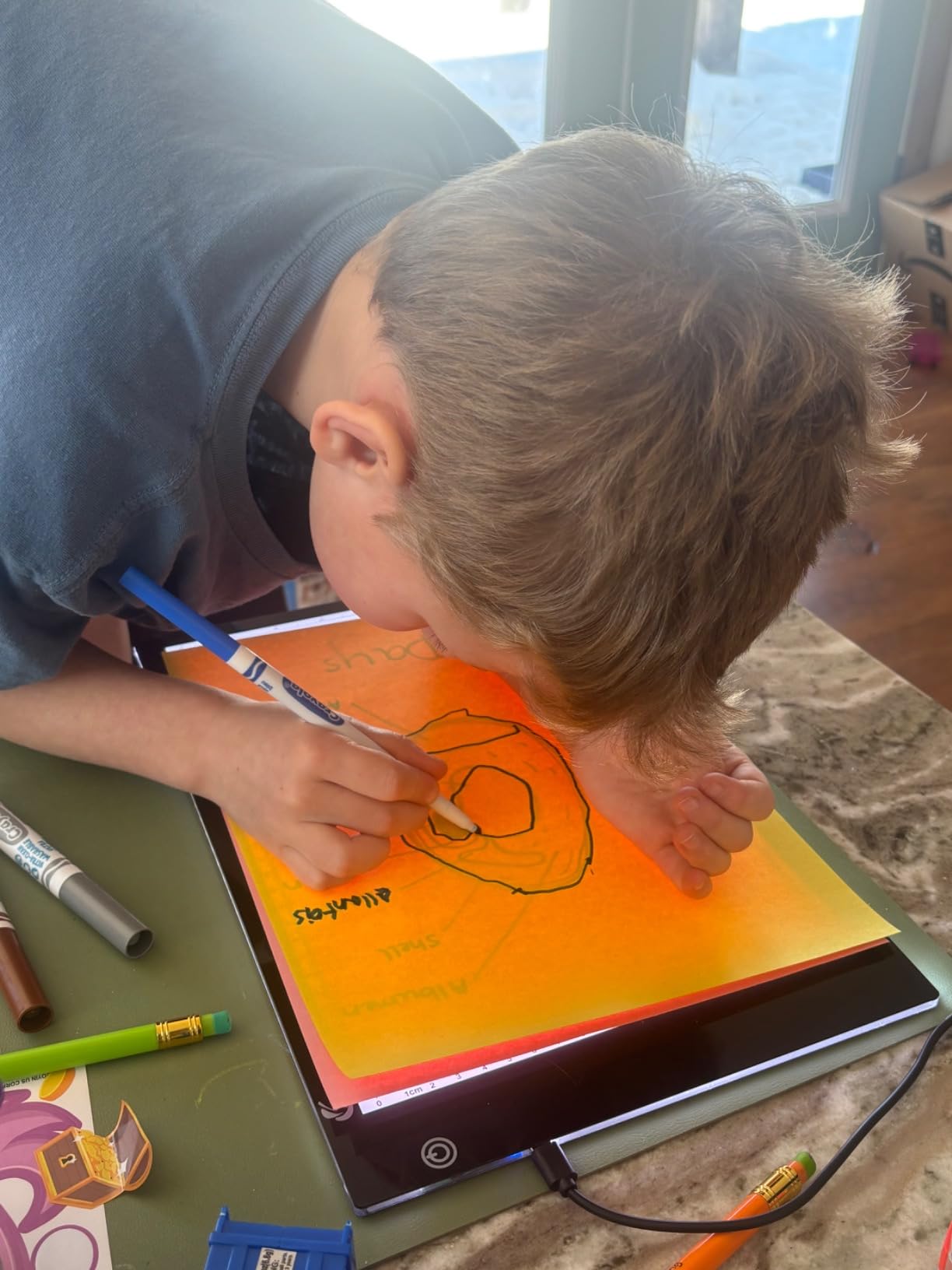 XIAOSTAR Light Box Drawing Pad A5, Tracing Board with Micro USB Cord Charge Cable and Brightness Adjustable for Artists, AnimationDrawing, Sketching, Animation, X-ray Viewing (A5) Not Rechargeable customer photo 1