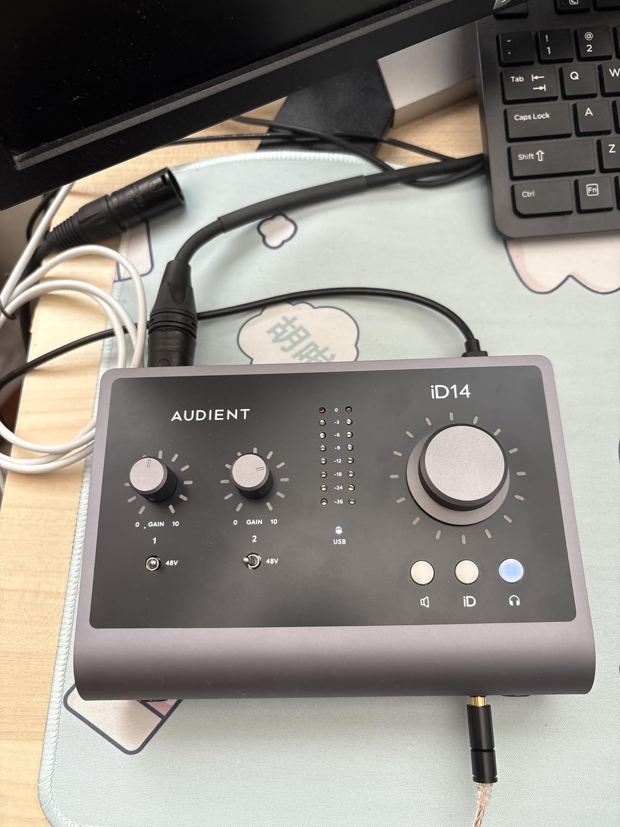 Audient Audio Interface iD14 MKII, 2 Class-A Microphone Preamps (High Performance USB Audio Interface, USB-C Connector, Monitor Mix and Monitor Panning Function, 2 Headphone Outputs), Black customer photo 2