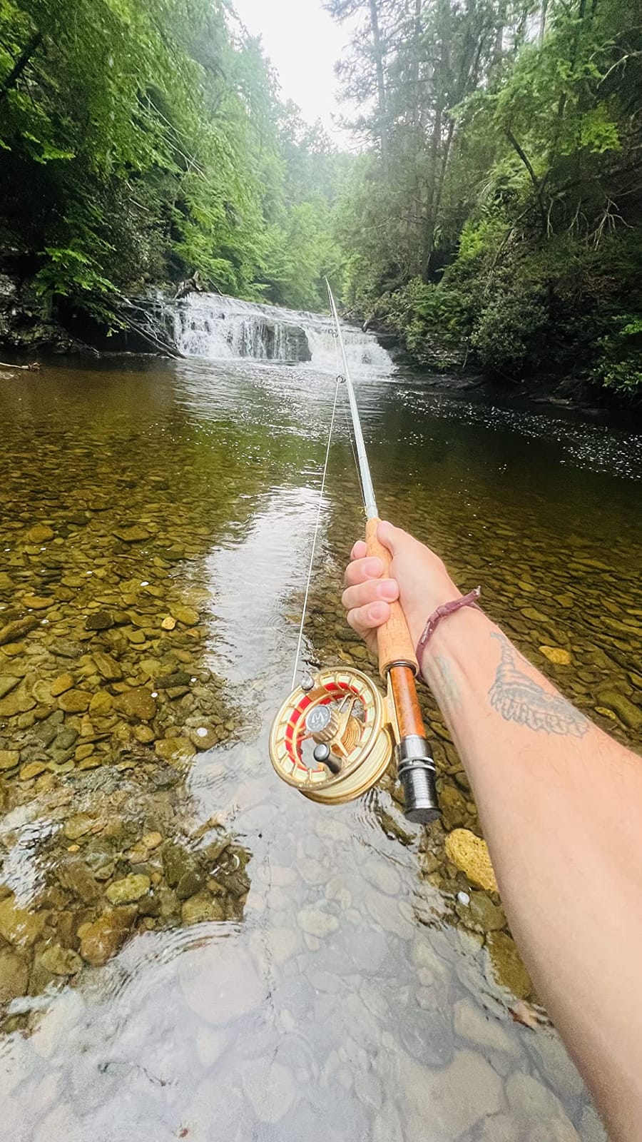 Maxcatch AVID PRO Fly Fishing Reel with CNC-machined Aluminum Body Super Large Arbor Design-3/5, 5/7, 7/9, 9/11 Weights customer photo 2