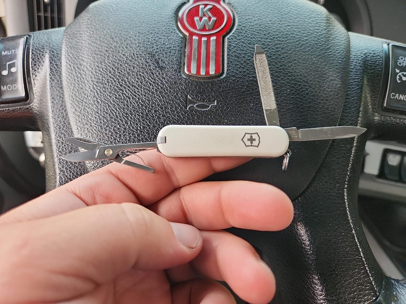 Victorinox Classic SD Swiss Army Knife, Compact, 7 Functions, Swiss Made Pocket Knife with Small Blade, Screwdriver and Key Ring - Style Icon (Red) customer photo 1