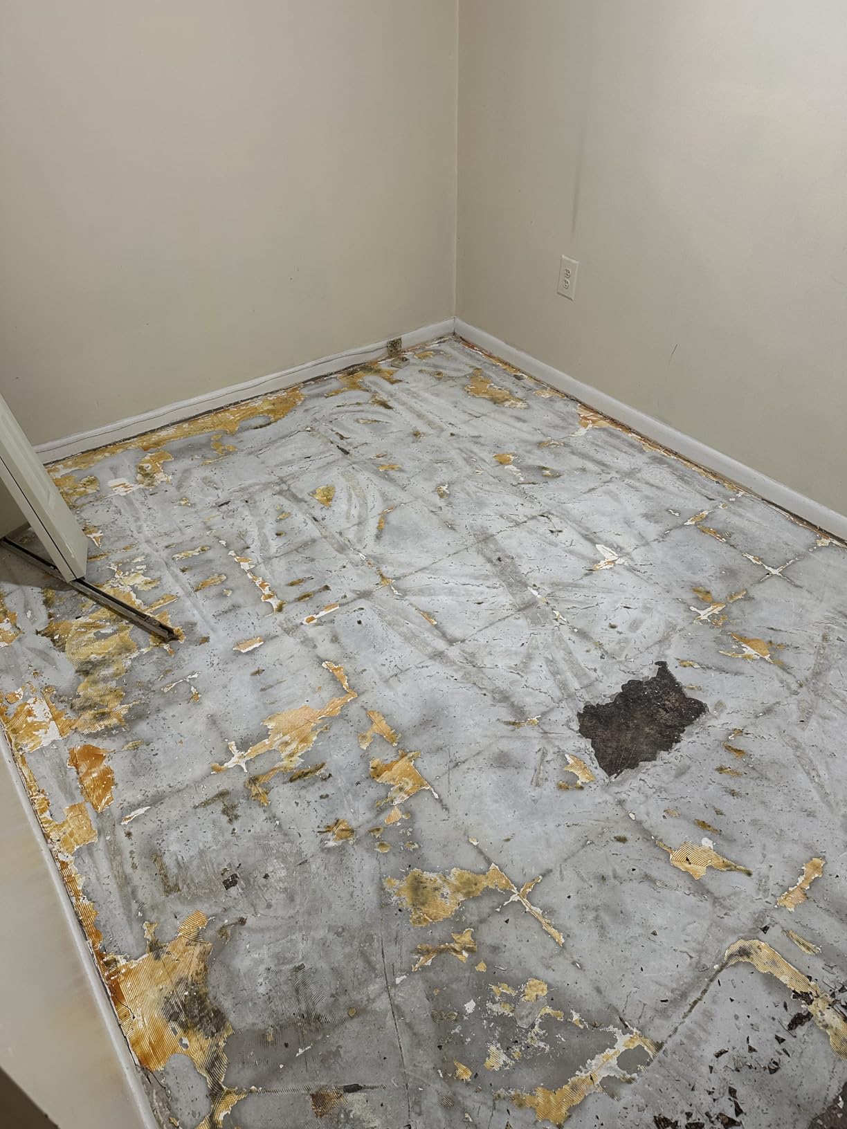 Bosch HS1418 5 In. x 11 In. SDS-plus Bulldog Floor Scraper customer photo 1