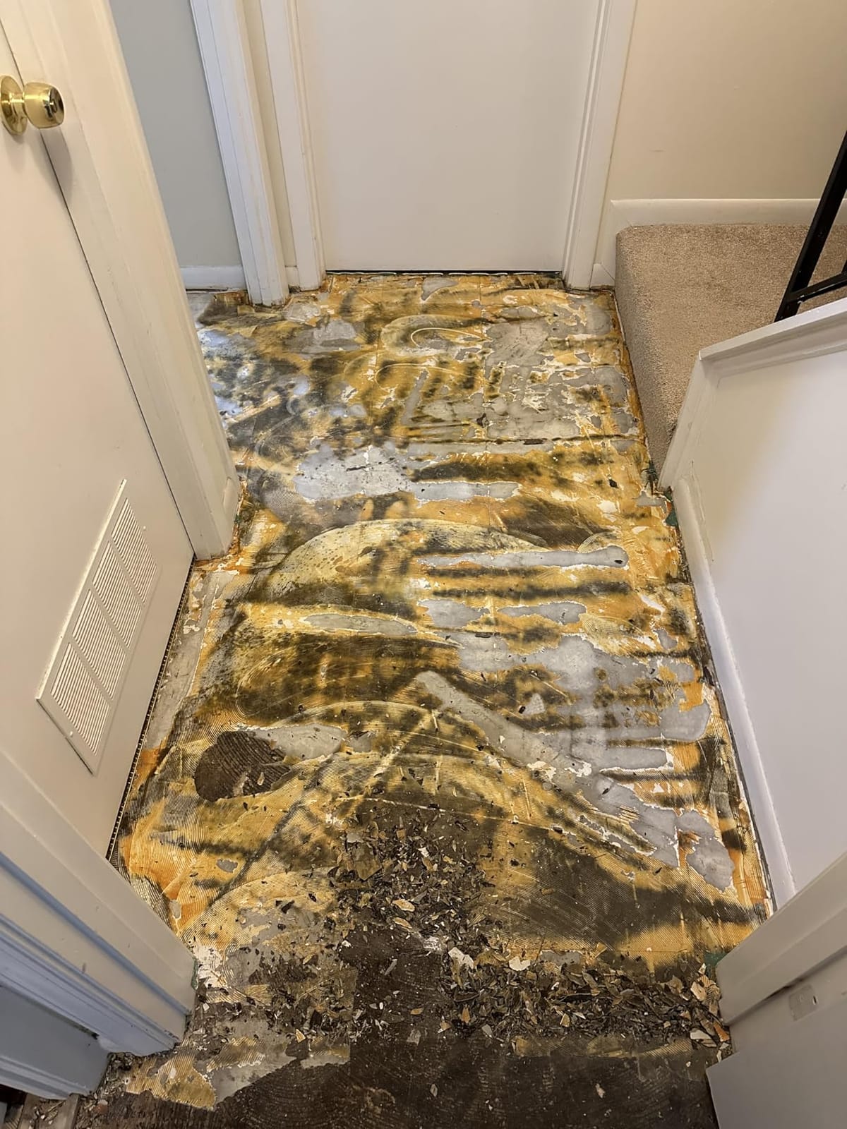 Bosch HS1418 5 In. x 11 In. SDS-plus Bulldog Floor Scraper customer photo 2