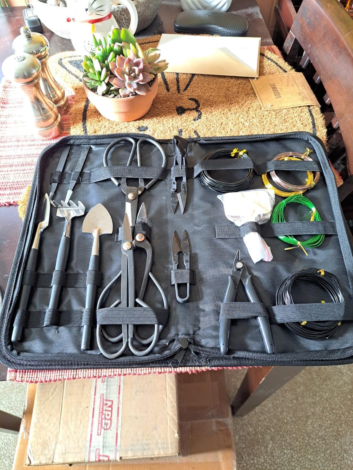 Bonsai Tree Tools Kit, 22 PCs Bonsai Tools Set High Carbon Steel Trimming Tools Set Include Pruning Shears, Cutters, Training Wires, Bonsai Grooming Care Kit for Beginner Gardening Gifts customer photo 1