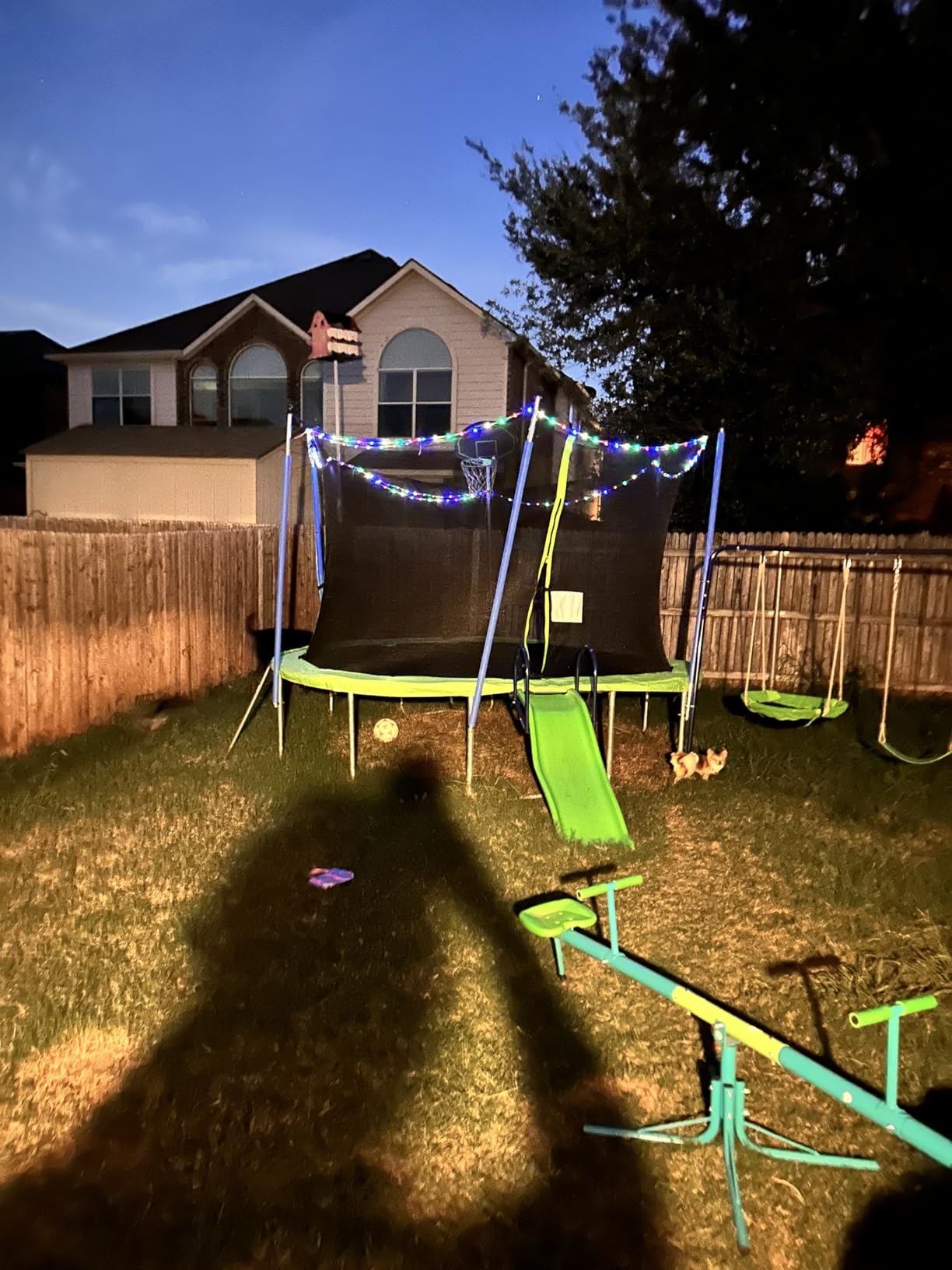 Amictoy Teeter Totter for Kids, 2-Seat Spinning Seesaw customer photo 1