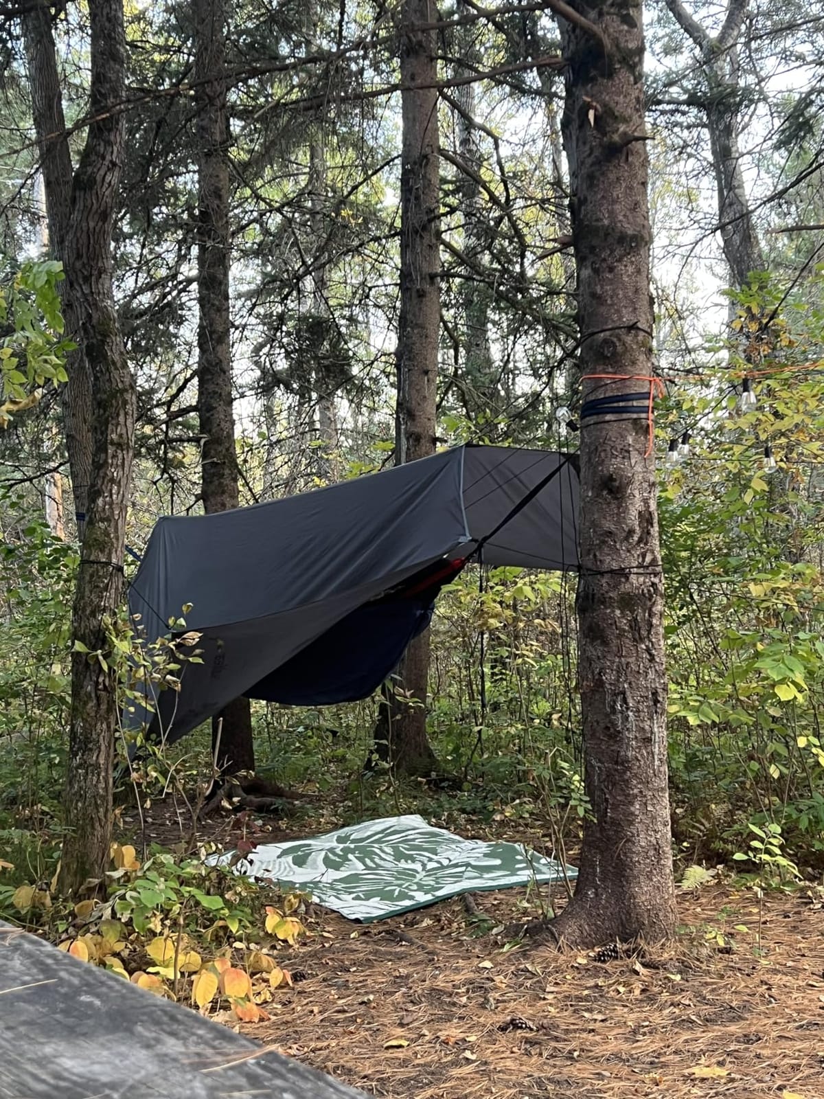 Sunyear Camping Hammock, Portable Single & Double Hammock with Net, 2 Person Hammock Tent with 2 * 10ft Straps, Best for Outdoor Hiking Survival Travel customer photo 1