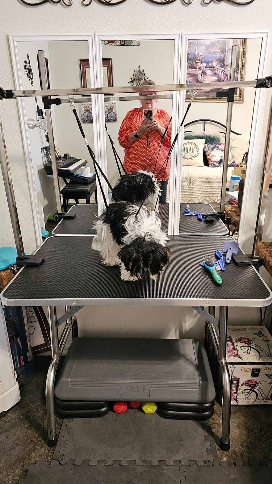 Lyromix 36'' Foldable Dog Grooming Table with Arms/Nooses/Mesh Tray, Black | Stainless Steel Grooming Table for Dogs at Home, Adjustable Pet Bathing Station, Non-Slip Waterproof Tabletop, Capacity 330Lb customer photo 1