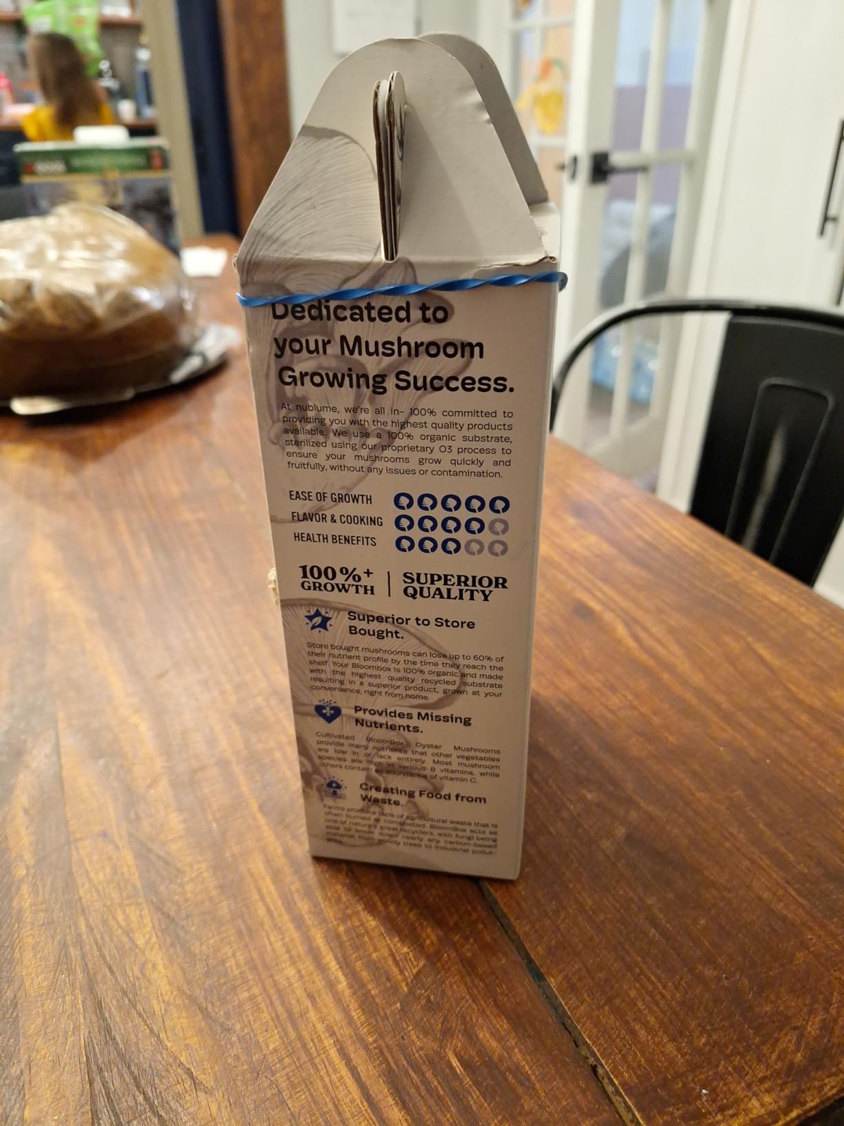 BloomBox Blue Oyster Mushroom Grow Kit - Spray & Grow - Pre-Inoculated Indoor Mushroom Farm - Beginner Friendly - Harvest Fresh Gourmet Mushrooms in Days - Perfect Gift customer photo 1