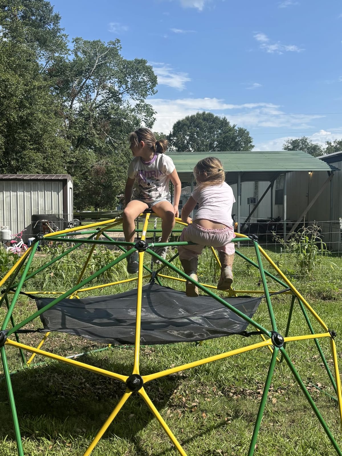 Climbing Dome Jungle Gym 6ft Outdoor Playset Kids Playground Equipment customer photo 1