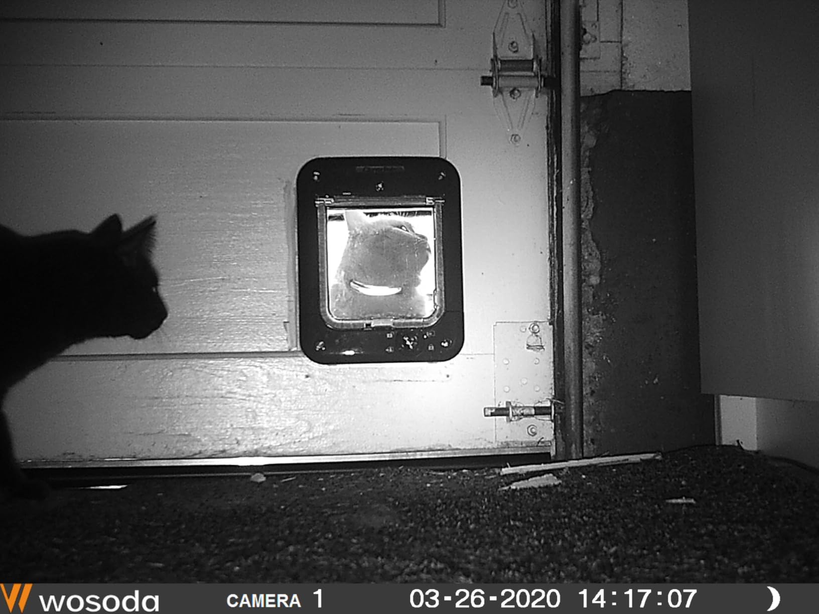 Closer Pets Microchip Activated Cat Flap (360) - For Small to Medium Cats, Accommodates up to 30 Pets, for Single/Multiple glazing, UPVC, walls and Wood, Grey customer photo 1