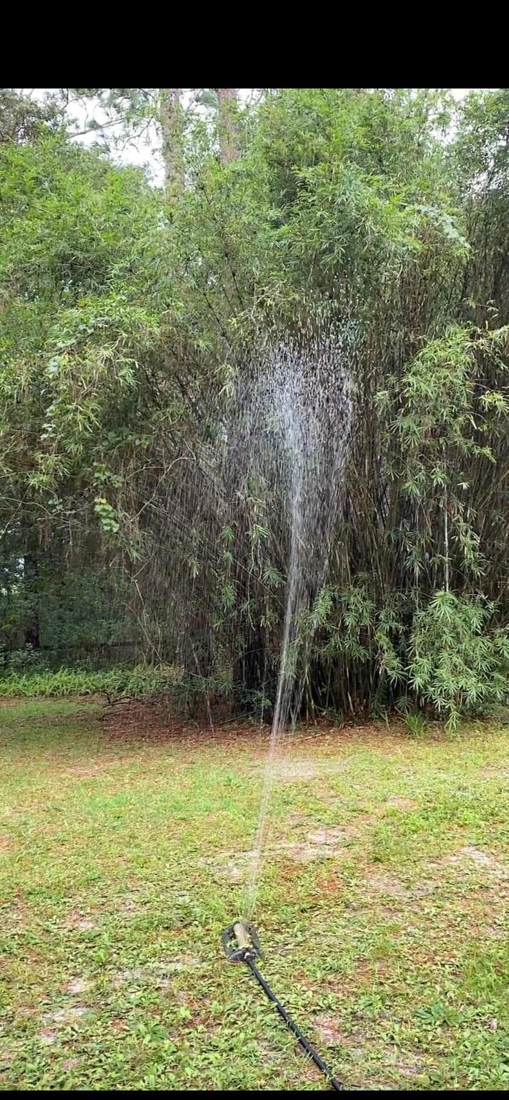 J&B XpandaHose 50ft Expandable Garden Hose- Heavy Duty Superior Strength 3750D - 4 -Layer Latex Core - Extra Strong Brass Connectors and Storage Bag (Black 50) customer photo 2
