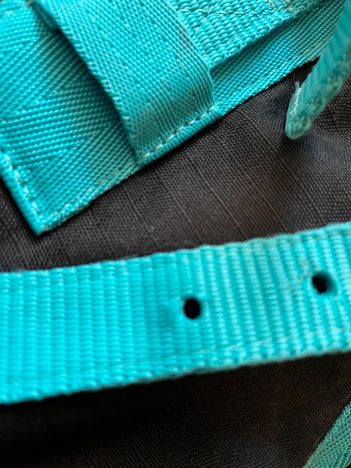 Winter Horse Blanket 300GSM 600 Denier (Waterproof/Breathable/Snow Proof) Turnout Blanket | Heavy Winter Blanket (78, Black with Turquoise Trims) customer photo 2