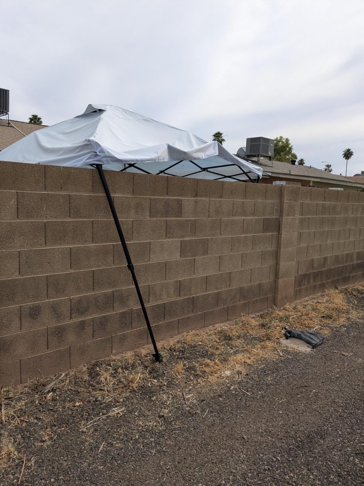 Tunbne 10X10 Pop Up Canopy Tent Outdoor with 1 Sidewalls, One Push Setup customer photo 2