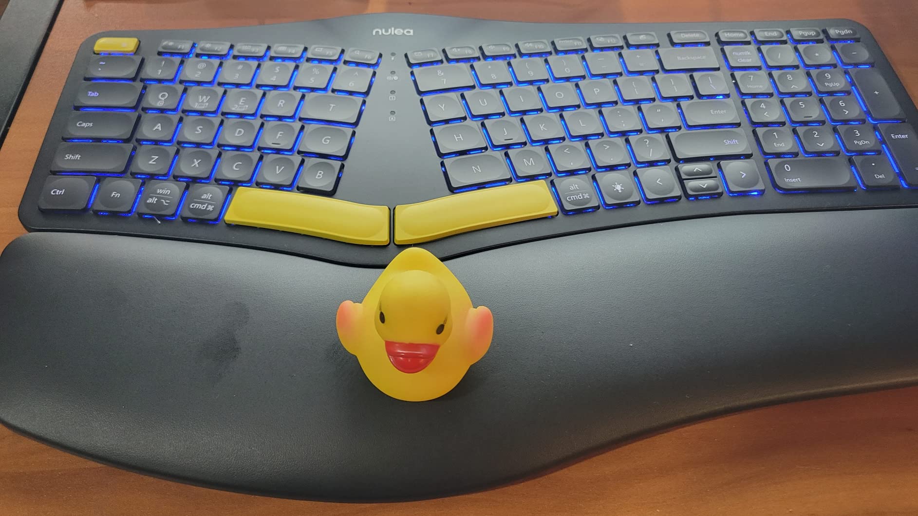Nulea Ergonomic Split Keyboard Wireless with Wrist Rest 7 Color Backlight customer photo 1