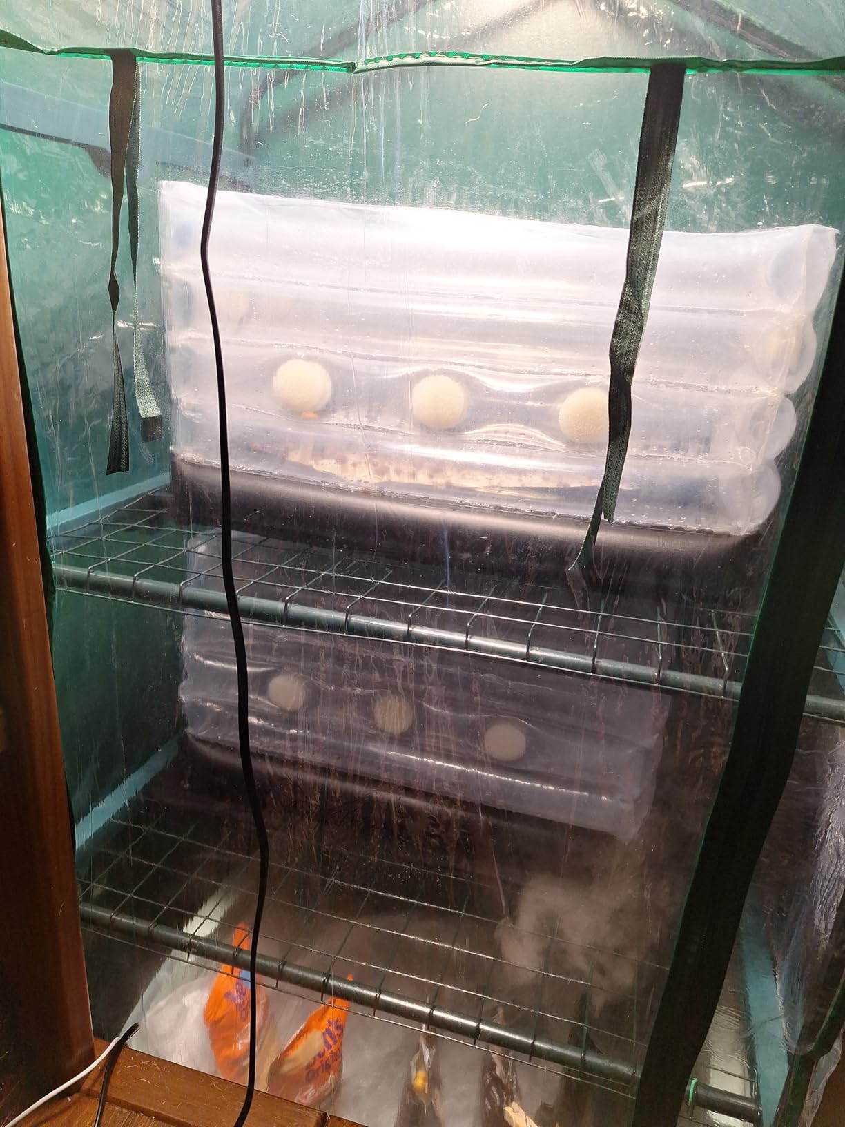 Boomer Shroomer Inflatable Monotub Kit, Mushroom Growing Kit Includes a Drain Port, Plugs & Filters, Removeable Liner customer photo 1