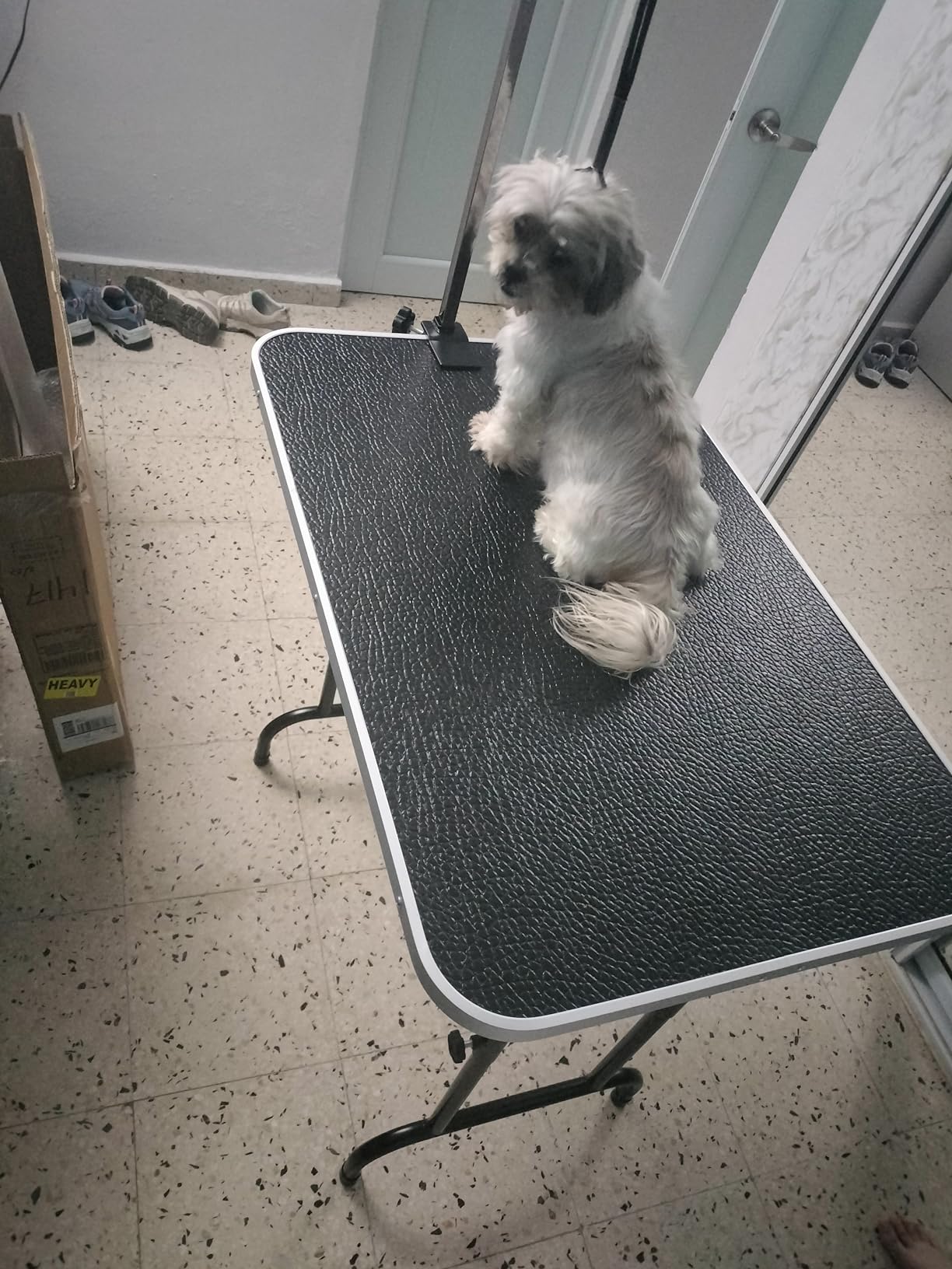 LEIBOU 36-inch Height Adjustable(23''~33.8'') and Foldable Pet Dog Grooming Table with Grooming Arm & 2 Noose for Dog Cat Pet Grooming Maximum Capacity Up to 260lbs customer photo 1