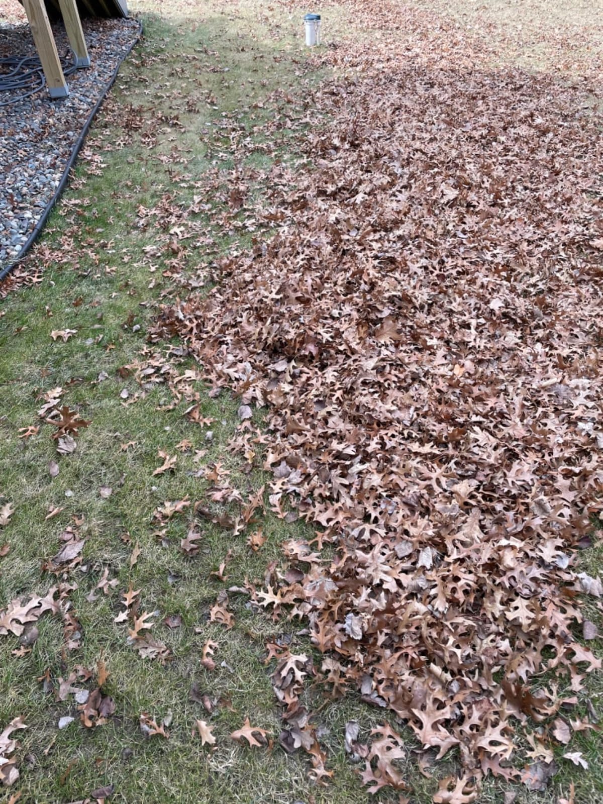 SKIL PWR CORE 40 Brushless 40V 530 CFM Cordless Leaf Blower Kit, Variable Speed with Power Boost, Includes 2.5Ah Battery and Auto PWR Jump Charger- BL4713C-11 customer photo 1