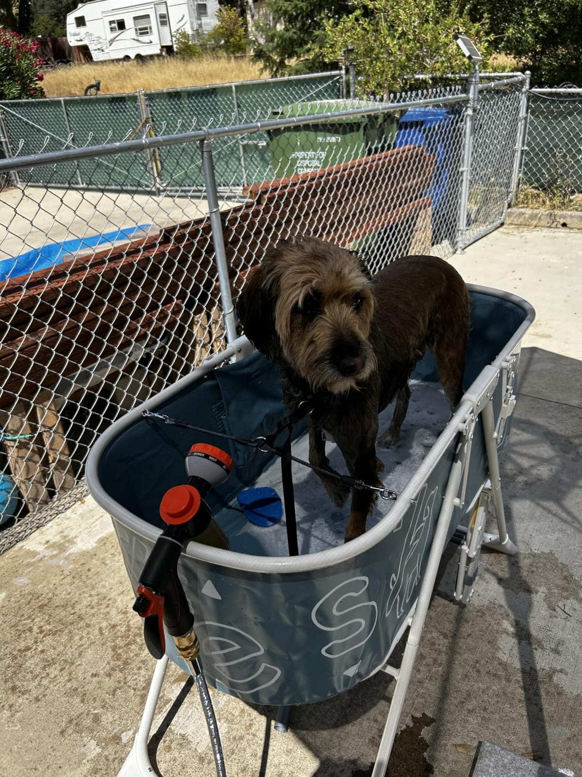 Furesh Foldable Dog Washing Station for Large Dogs with Stairs | Reinforced aluminum frame with foldable stairs for safe, elevated bathing and compact storage. customer photo 1