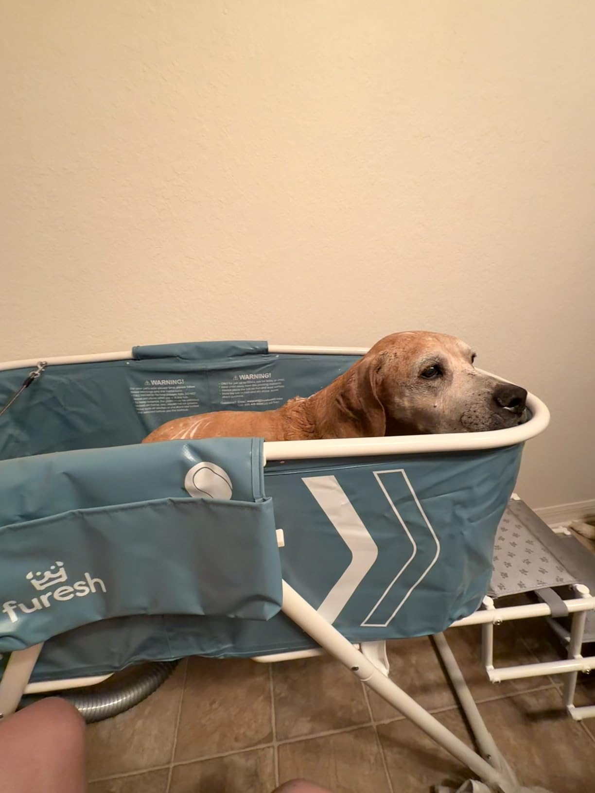 Furesh Foldable Dog Washing Station for Large Dogs with Stairs | Reinforced aluminum frame with foldable stairs for safe, elevated bathing and compact storage. customer photo 2