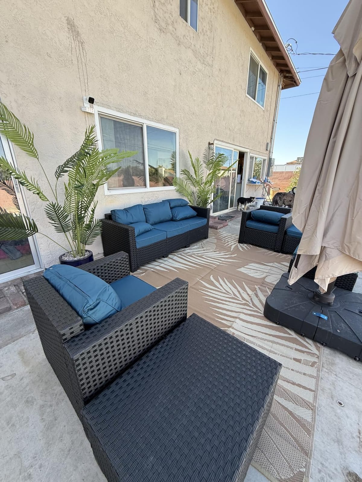 Rattaner Patio Furniture Set 6 Pieces Couch Outdoor Chairs Coffee Table Peacock Blue Anti-Slip Cushions and Waterproof Covers customer photo 2