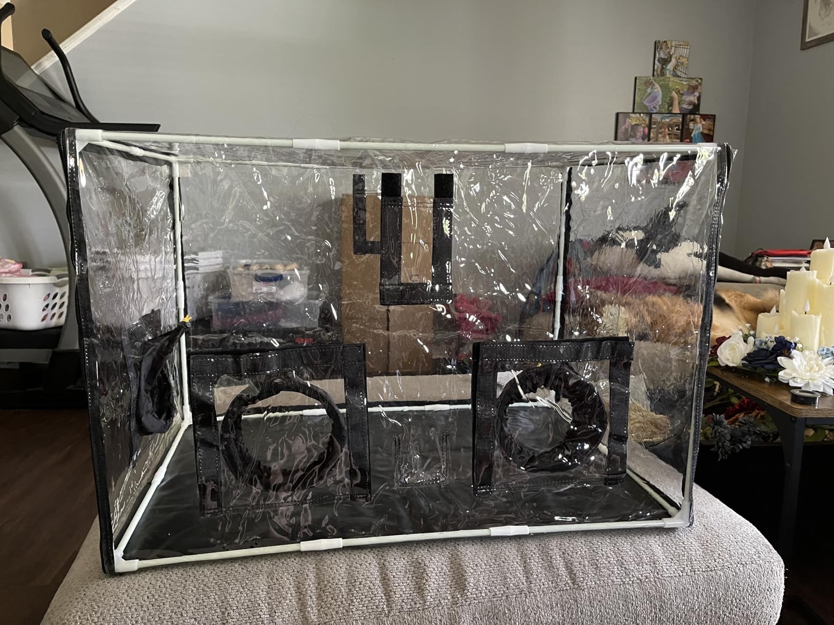 Large Still Air Box Mushroom Mycology Fume Hood Propagation StationsGrow Kit Mushroom Grow Bags Your Monotub Kit Mushroom Planting BagTent for Spores Horticulture Supplies (31.5 * 20.5 * 20.5inch) customer photo 1
